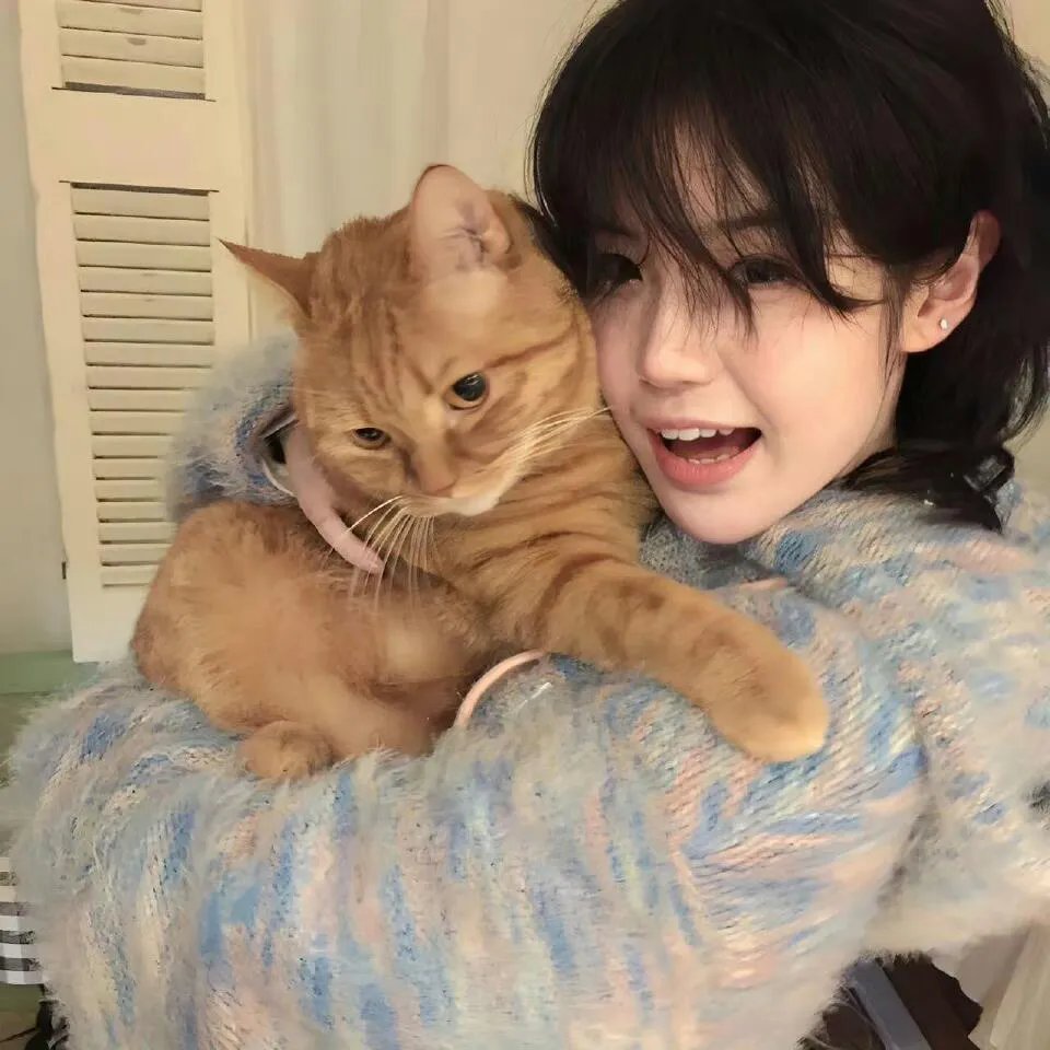 我的间谍前男友